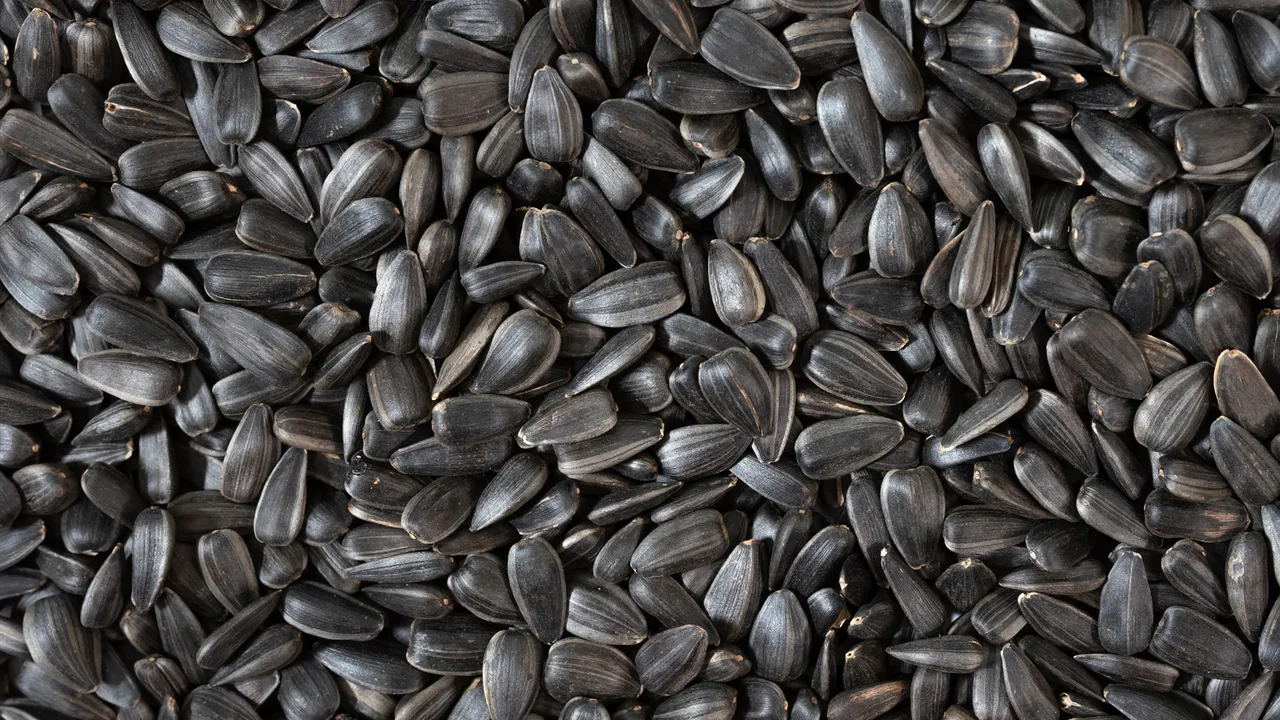 Global Sunflower Output on the Rise